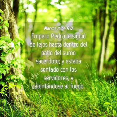 Picture 04 - Marcos 14:54 RVA - Empero Pedro le siguió de lejos hasta dentro del - Bible Verse Picture