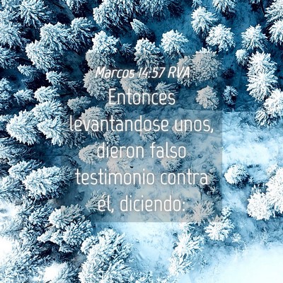 Picture 04 - Marcos 14:57 RVA - Entonces levantandose unos, dieron falso - Bible Verse Picture