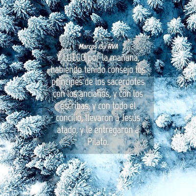 Picture 04 - Marcos 15:1 RVA - Y LUEGO por la mañana, habiendo tenido consejo - Bible Verse Picture