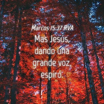 Picture 04 - Marcos 15:37 RVA - Mas Jesús, dando una grande voz, - Bible Verse Picture