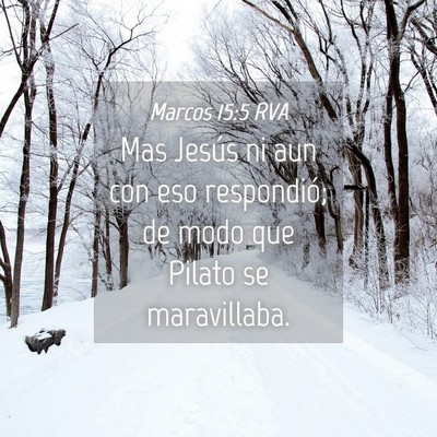 Picture 04 - Marcos 15:5 RVA - Mas Jesús ni aun con eso respondió; de modo que - Bible Verse Picture