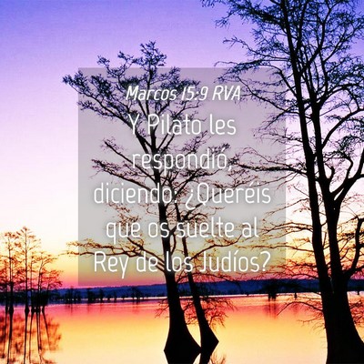 Picture 04 - Marcos 15:9 RVA - Y Pilato les respondió, diciendo: ¿Queréis que - Bible Verse Picture