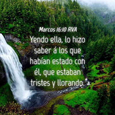 Picture 04 - Marcos 16:10 RVA - Yendo ella, lo hizo saber á los que habían - Bible Verse Picture