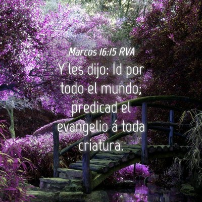 Picture 04 - Marcos 16:15 RVA - Y les dijo: Id por todo el mundo; predicad el - Bible Verse Picture