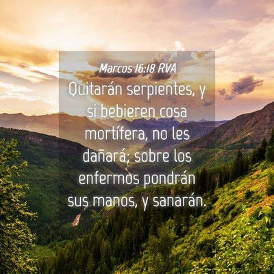 Picture 04 - Marcos 16:18 RVA - Quitarán serpientes, y si bebieren cosa - Bible Verse Picture