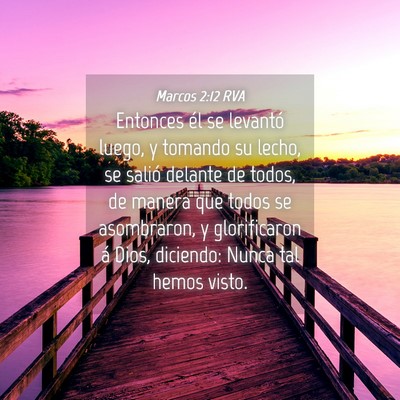 Picture 04 - Marcos 2:12 RVA - Entonces él se levantó luego, y tomando su - Bible Verse Picture