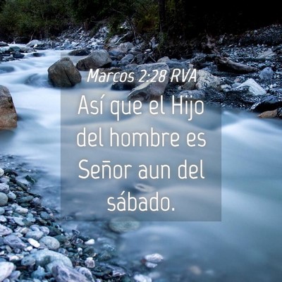 Picture 04 - Marcos 2:28 RVA - Así que el Hijo del hombre es Señor aun del - Bible Verse Picture