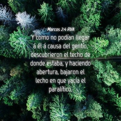 Picture 04 - Marcos 2:4 RVA - Y como no podían llegar á él á causa del - Bible Verse Picture