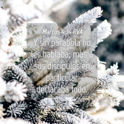 Picture 04 - Marcos 4:34 RVA - Y sin parábola no les hablaba; mas á sus - Bible Verse Picture