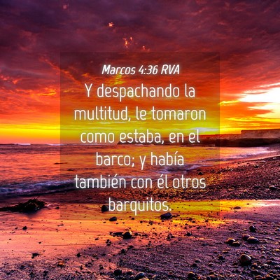 Picture 04 - Marcos 4:36 RVA - Y despachando la multitud, le tomaron como - Bible Verse Picture