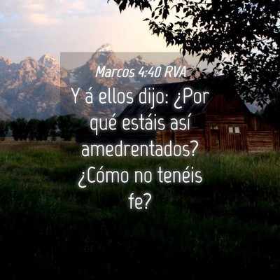 Picture 04 - Marcos 4:40 RVA - Y á ellos dijo: ¿Por qué estáis así - Bible Verse Picture