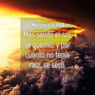 Picture 04 - Marcos 4:6 RVA - Mas salido el sol, se quemó; y por cuanto no - Bible Verse Picture