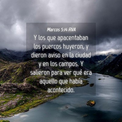 Picture 04 - Marcos 5:14 RVA - Y los que apacentaban los puercos huyeron, y - Bible Verse Picture