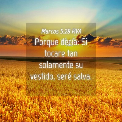 Picture 04 - Marcos 5:28 RVA - Porque decía: Si tocare tan solamente su - Bible Verse Picture