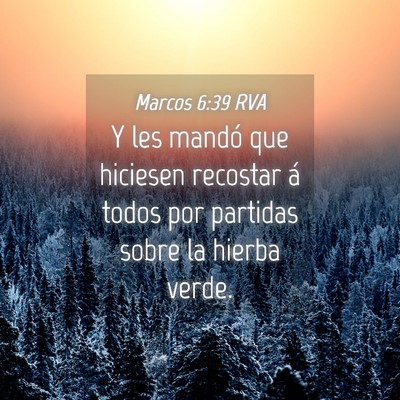 Picture 04 - Marcos 6:39 RVA - Y les mandó que hiciesen recostar á todos por - Bible Verse Picture