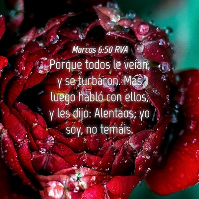 Picture 04 - Marcos 6:50 RVA - Porque todos le veían, y se turbaron. Mas luego - Bible Verse Picture