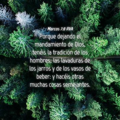Picture 04 - Marcos 7:8 RVA - Porque dejando el mandamiento de Dios, tenéis la - Bible Verse Picture
