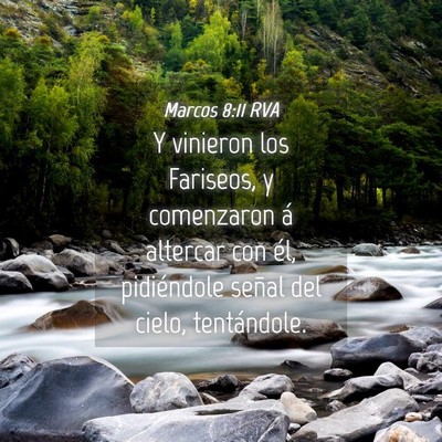 Picture 04 - Marcos 8:11 RVA - Y vinieron los Fariseos, y comenzaron á altercar - Bible Verse Picture