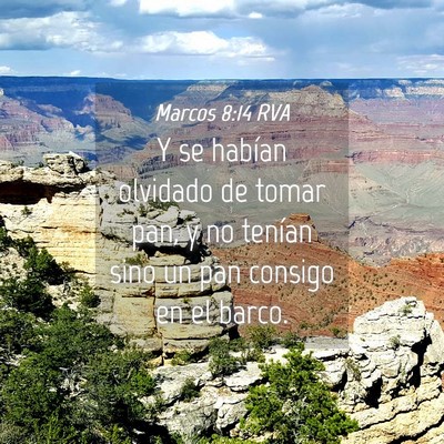 Picture 04 - Marcos 8:14 RVA - Y se habían olvidado de tomar pan, y no tenían - Bible Verse Picture