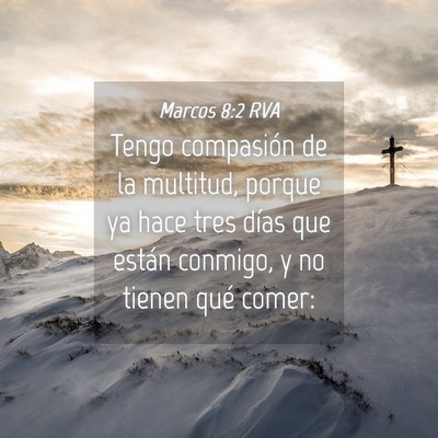 Picture 04 - Marcos 8:2 RVA - Tengo compasión de la multitud, porque ya hace - Bible Verse Picture