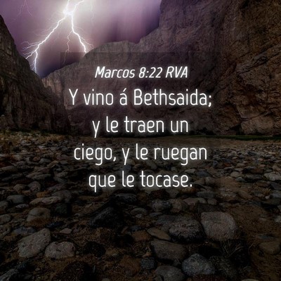 Picture 04 - Marcos 8:22 RVA - Y vino á Bethsaida; y le traen un ciego, y le - Bible Verse Picture