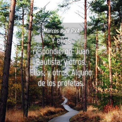 Picture 04 - Marcos 8:28 RVA - Y ellos respondieron: Juan Bautista; y otros, - Bible Verse Picture