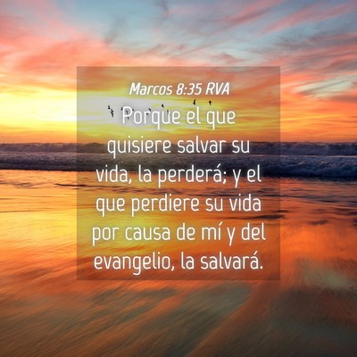 Picture 04 - Marcos 8:35 RVA - Porque el que quisiere salvar su vida, la - Bible Verse Picture