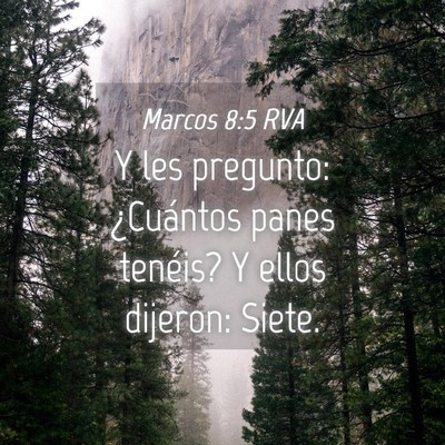 Picture 04 - Marcos 8:5 RVA - Y les pregunto: ¿Cuántos panes tenéis? Y ellos - Bible Verse Picture