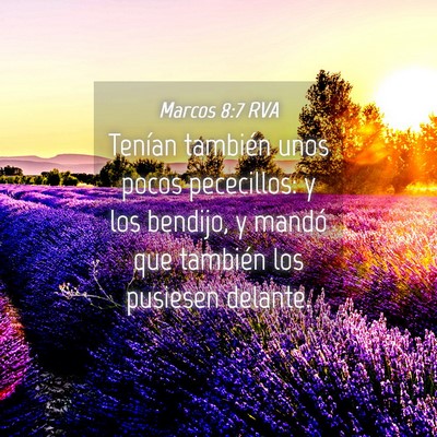 Picture 04 - Marcos 8:7 RVA - Tenían también unos pocos pececillos: y los - Bible Verse Picture