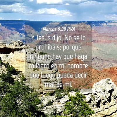 Picture 04 - Marcos 9:39 RVA - Y Jesús dijo: No se lo prohibáis; porque - Bible Verse Picture