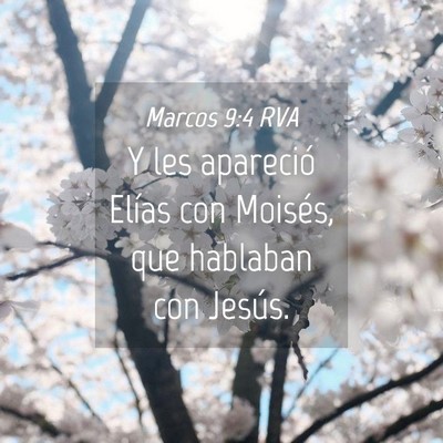 Picture 04 - Marcos 9:4 RVA - Y les apareció Elías con Moisés, que hablaban - Bible Verse Picture