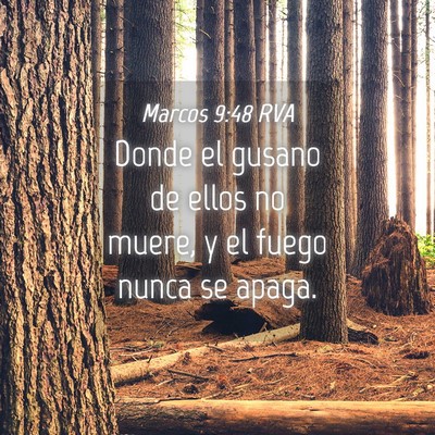 Picture 04 - Marcos 9:48 RVA - Donde el gusano de ellos no muere, y el fuego - Bible Verse Picture