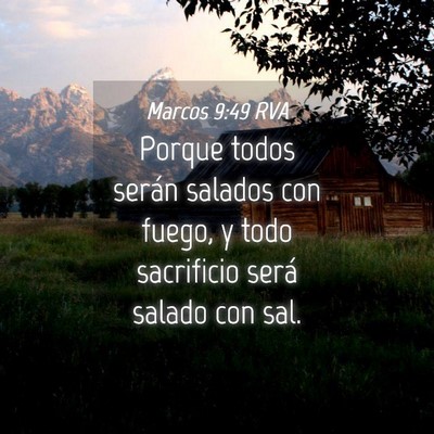 Picture 04 - Marcos 9:49 RVA - Porque todos serán salados con fuego, y todo - Bible Verse Picture