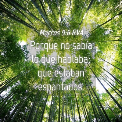 Picture 04 - Marcos 9:6 RVA - Porque no sabía lo que hablaba; que estaban - Bible Verse Picture