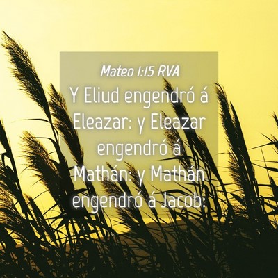 Picture 04 - Mateo 1:15 RVA - Y Eliud engendró á Eleazar: y Eleazar engendró - Bible Verse Picture