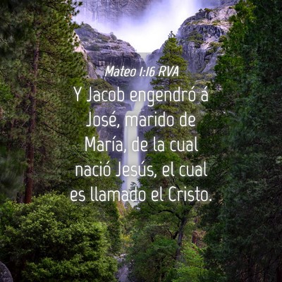 Picture 04 - Mateo 1:16 RVA - Y Jacob engendró á José, marido de María, de - Bible Verse Picture