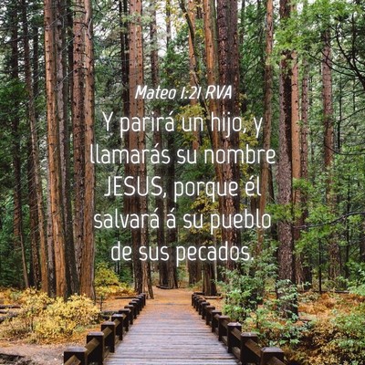 Picture 04 - Mateo 1:21 RVA - Y parirá un hijo, y llamarás su nombre JESUS, - Bible Verse Picture