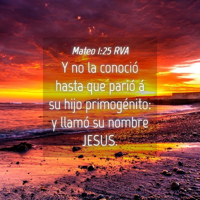 Picture 04 - Mateo 1:25 RVA - Y no la conoció hasta que parió á su hijo - Bible Verse Picture
