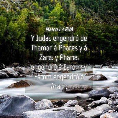 Picture 04 - Mateo 1:3 RVA - Y Judas engendró de Thamar á Phares y á Zara: - Bible Verse Picture
