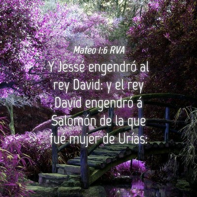 Picture 04 - Mateo 1:6 RVA - Y Jessé engendró al rey David: y el rey David - Bible Verse Picture