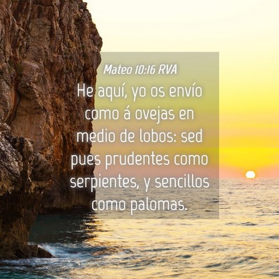 Picture 04 - Mateo 10:16 RVA - He aquí, yo os envío como á ovejas en medio de - Bible Verse Picture