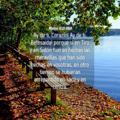Picture 04 - Mateo 11:21 RVA - Ay de ti, Corazín! ­Ay de ti, Bethsaida! porque - Bible Verse Picture