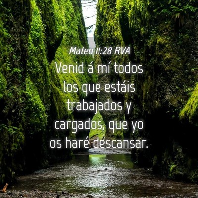 Picture 04 - Mateo 11:28 RVA - Venid á mí todos los que estáis trabajados y - Bible Verse Picture