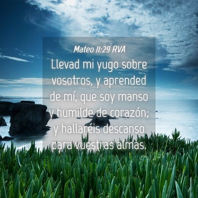 Picture 04 - Mateo 11:29 RVA - Llevad mi yugo sobre vosotros, y aprended de mí, - Bible Verse Picture