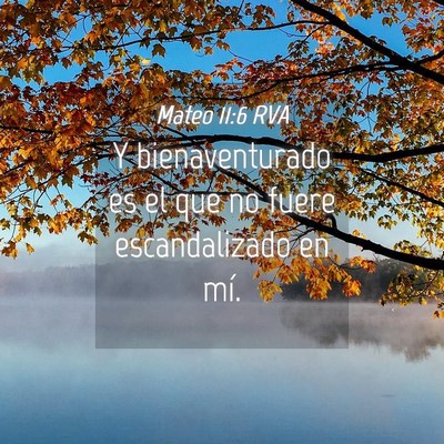 Picture 04 - Mateo 11:6 RVA - Y bienaventurado es el que no fuere escandalizado - Bible Verse Picture