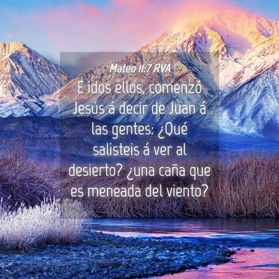 Picture 04 - Mateo 11:7 RVA - E idos ellos, comenzó Jesús á decir de Juan á - Bible Verse Picture
