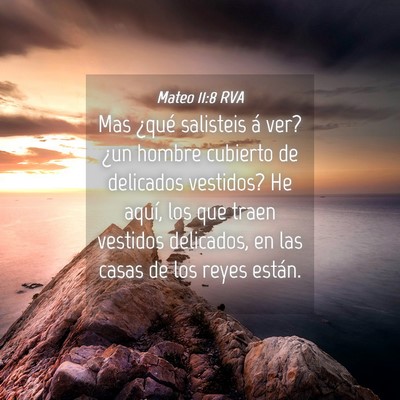 Picture 04 - Mateo 11:8 RVA - Mas ¿qué salisteis á ver? ¿un hombre cubierto - Bible Verse Picture