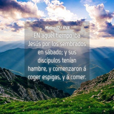 Picture 04 - Mateo 12:1 RVA - EN aquel tiempo iba Jesús por los sembrados en - Bible Verse Picture