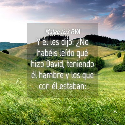 Picture 04 - Mateo 12:3 RVA - Y él les dijo: ¿No habéis leído qué hizo - Bible Verse Picture