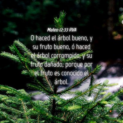 Picture 04 - Mateo 12:33 RVA - O haced el árbol bueno, y su fruto bueno, ó - Bible Verse Picture